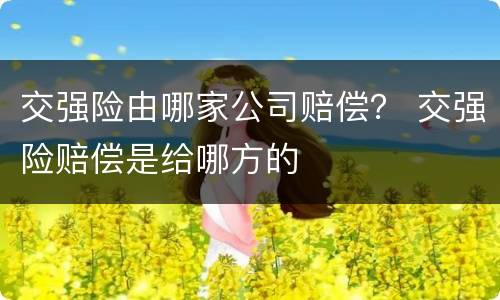 交强险由哪家公司赔偿？ 交强险赔偿是给哪方的