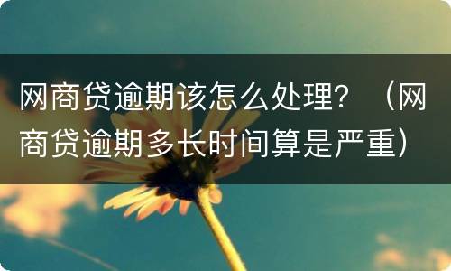 网商贷逾期该怎么处理？（网商贷逾期多长时间算是严重）