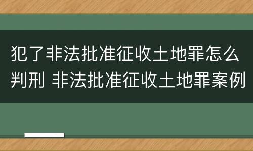 犯了非法批准征收土地罪怎么判刑 非法批准征收土地罪案例