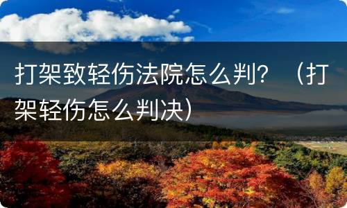 打架致轻伤法院怎么判？（打架轻伤怎么判决）