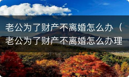 老公为了财产不离婚怎么办（老公为了财产不离婚怎么办理）