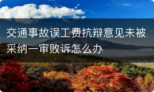 交通事故误工费抗辩意见未被采纳一审败诉怎么办