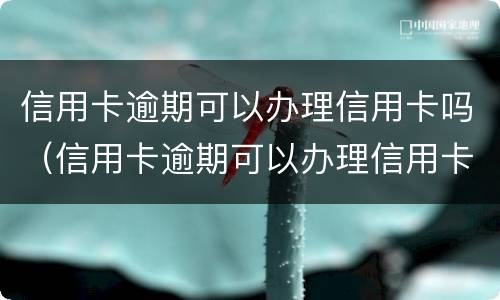 信用卡逾期可以办理信用卡吗（信用卡逾期可以办理信用卡吗知乎）