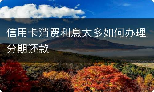 信用卡消费利息太多如何办理分期还款