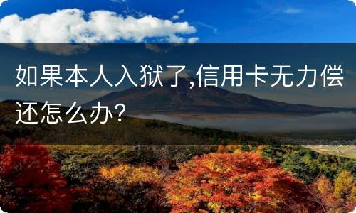 如果本人入狱了,信用卡无力偿还怎么办？