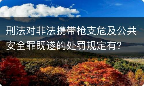 刑法对非法携带枪支危及公共安全罪既遂的处罚规定有？