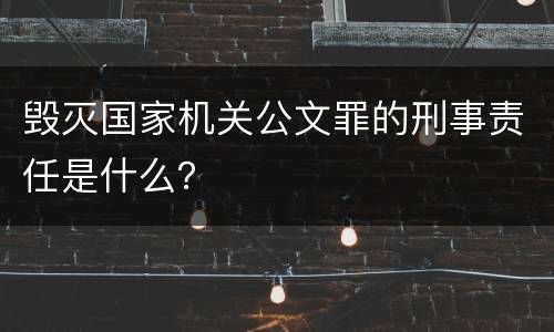 毁灭国家机关公文罪的刑事责任是什么？