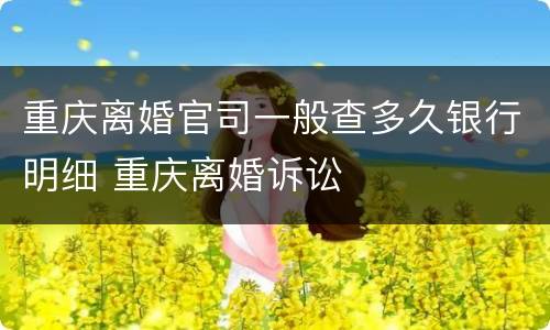 重庆离婚官司一般查多久银行明细 重庆离婚诉讼