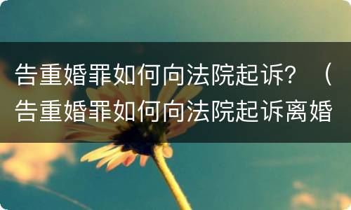 告重婚罪如何向法院起诉？（告重婚罪如何向法院起诉离婚）