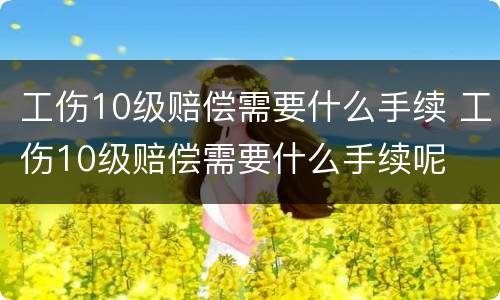 工伤10级赔偿需要什么手续 工伤10级赔偿需要什么手续呢