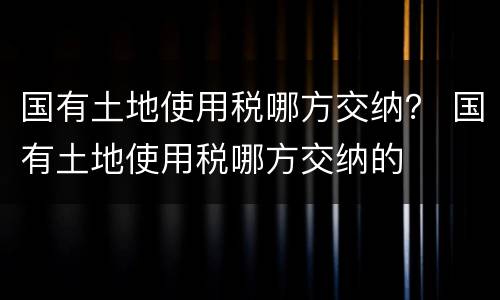 国有土地使用税哪方交纳？ 国有土地使用税哪方交纳的