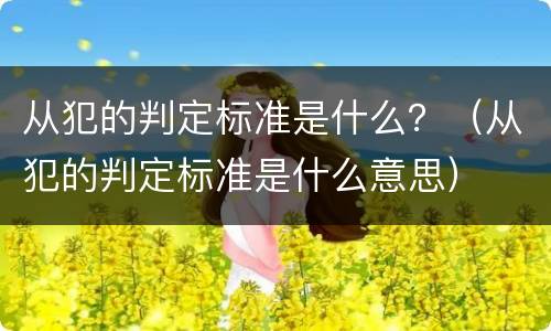 从犯的判定标准是什么？（从犯的判定标准是什么意思）