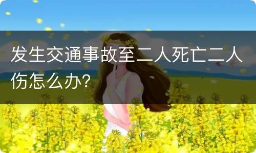 发生交通事故至二人死亡二人伤怎么办？