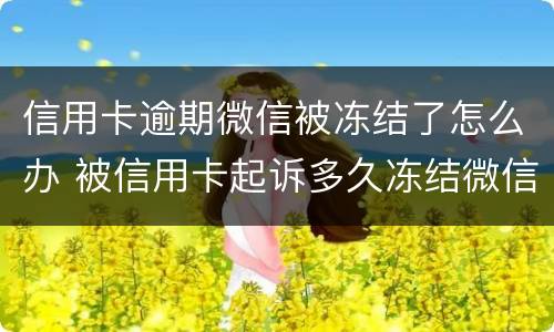 信用卡逾期微信被冻结了怎么办 被信用卡起诉多久冻结微信