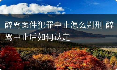 醉驾案件犯罪中止怎么判刑 醉驾中止后如何认定