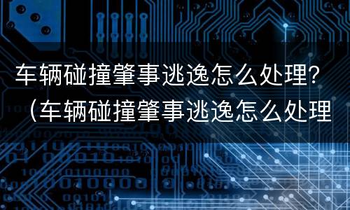车辆碰撞肇事逃逸怎么处理？（车辆碰撞肇事逃逸怎么处理的）