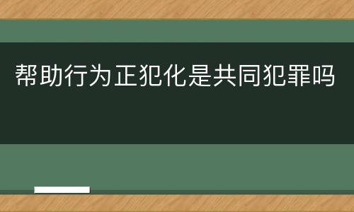 帮助行为正犯化是共同犯罪吗