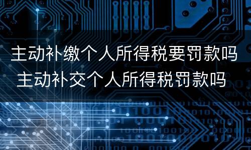 主动补缴个人所得税要罚款吗 主动补交个人所得税罚款吗