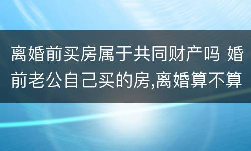 离婚前买房属于共同财产吗 婚前老公自己买的房,离婚算不算共同财产