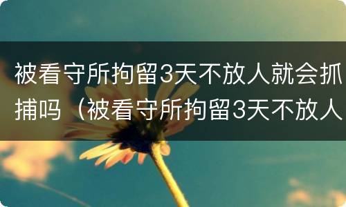 被看守所拘留3天不放人就会抓捕吗（被看守所拘留3天不放人就会抓捕吗视频）
