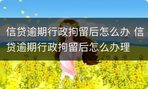 信贷逾期行政拘留后怎么办 信贷逾期行政拘留后怎么办理