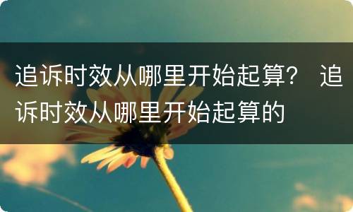 追诉时效从哪里开始起算？ 追诉时效从哪里开始起算的