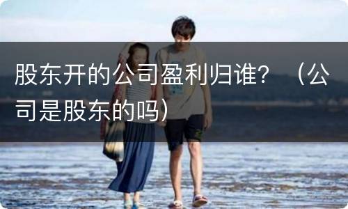 股东开的公司盈利归谁？（公司是股东的吗）