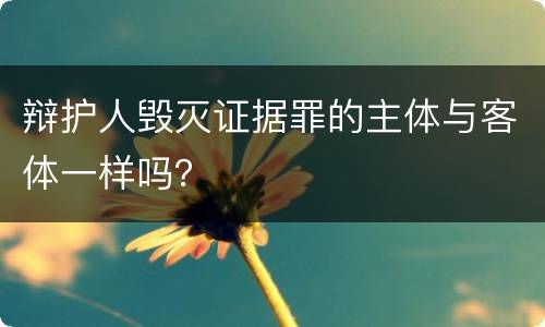 辩护人毁灭证据罪的主体与客体一样吗？