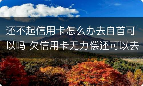 还不起信用卡怎么办去自首可以吗 欠信用卡无力偿还可以去自首吗