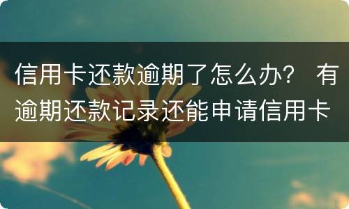 信用卡还款逾期了怎么办？ 有逾期还款记录还能申请信用卡吗