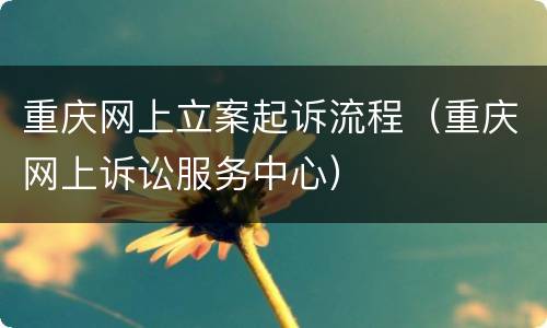 重庆网上立案起诉流程（重庆网上诉讼服务中心）