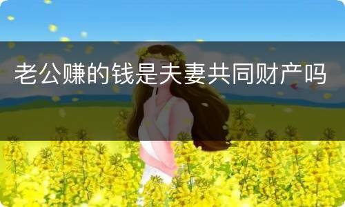 老公赚的钱是夫妻共同财产吗