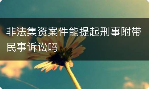 非法集资案件能提起刑事附带民事诉讼吗