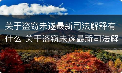 关于盗窃未遂最新司法解释有什么 关于盗窃未遂最新司法解释有什么规定