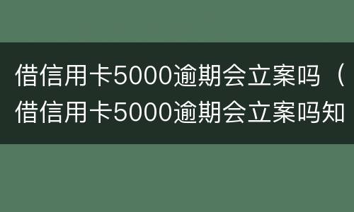 借信用卡5000逾期会立案吗（借信用卡5000逾期会立案吗知乎）