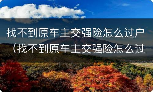 找不到原车主交强险怎么过户（找不到原车主交强险怎么过户给他）
