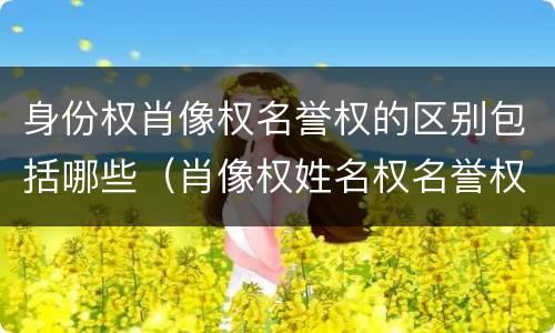 身份权肖像权名誉权的区别包括哪些（肖像权姓名权名誉权荣誉权统称为）