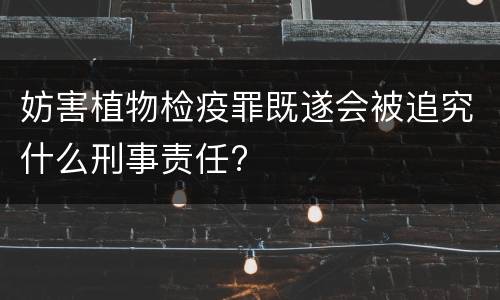 妨害植物检疫罪既遂会被追究什么刑事责任?
