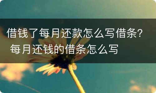 借钱了每月还款怎么写借条？ 每月还钱的借条怎么写