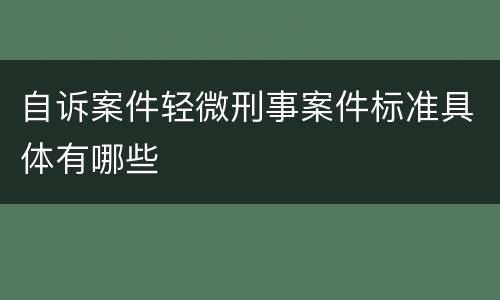 自诉案件轻微刑事案件标准具体有哪些