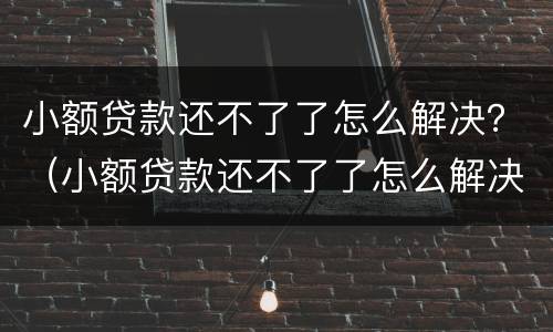 小额贷款还不了了怎么解决？（小额贷款还不了了怎么解决办法）