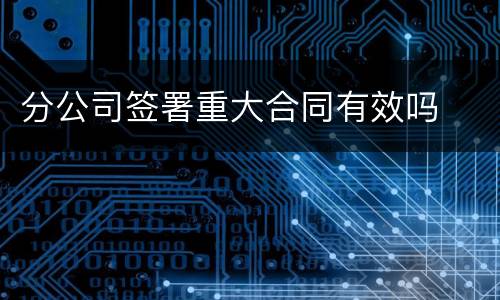 分公司签署重大合同有效吗