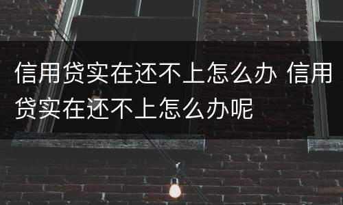 信用贷实在还不上怎么办 信用贷实在还不上怎么办呢