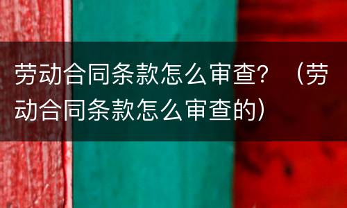 劳动合同条款怎么审查？（劳动合同条款怎么审查的）