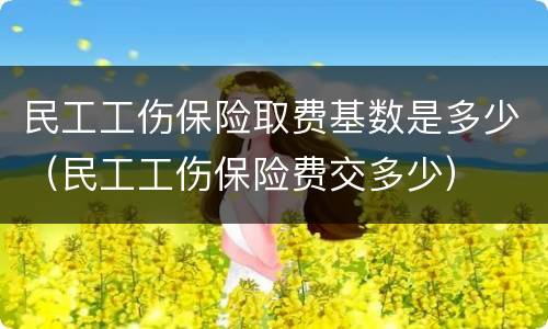 民工工伤保险取费基数是多少（民工工伤保险费交多少）
