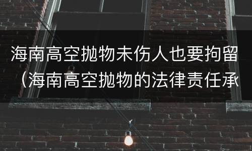 海南高空抛物未伤人也要拘留（海南高空抛物的法律责任承担）