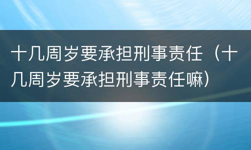 十几周岁要承担刑事责任（十几周岁要承担刑事责任嘛）