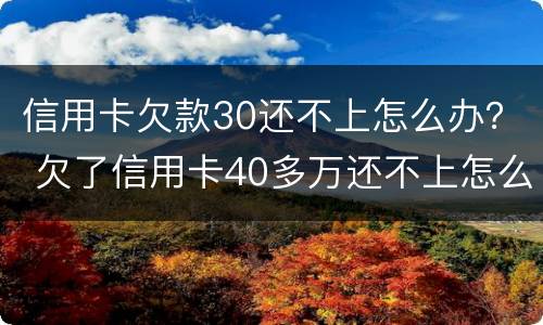 信用卡欠款30还不上怎么办？ 欠了信用卡40多万还不上怎么办