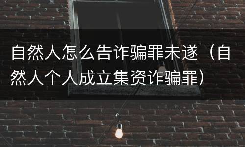 自然人怎么告诈骗罪未遂（自然人个人成立集资诈骗罪）