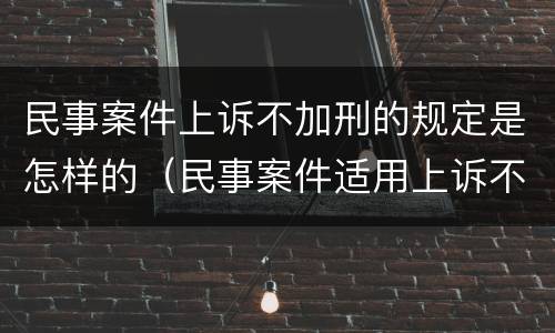 民事案件上诉不加刑的规定是怎样的（民事案件适用上诉不加刑原则）